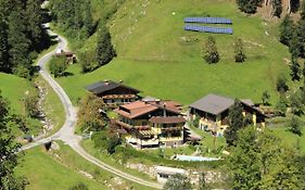 Schattaugut